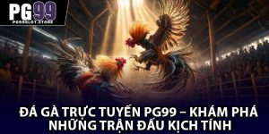 Đá Gà Trực Tuyến PG99 – Khám Phá Những Trận Đấu Kịch Tính