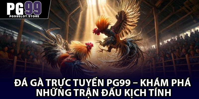 Đá Gà Trực Tuyến PG99 – Khám Phá Những Trận Đấu Kịch Tính
