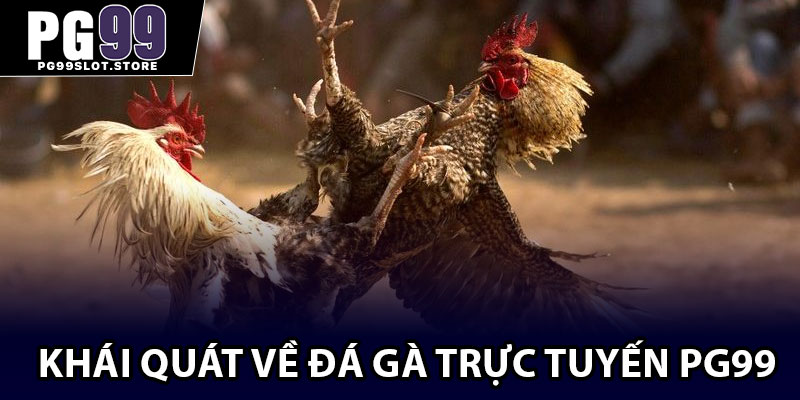 Khái quát về đá gà trực tuyến PG99