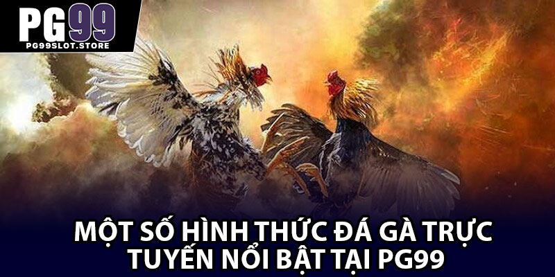 Một số hình thức đá gà trực tuyến nổi bật tại pg99