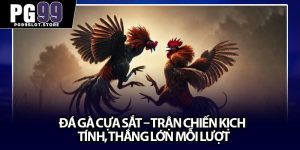 Đá Gà Cựa Sắt – Trận Chiến Kịch Tính, Thắng Lớn Mỗi Lượt