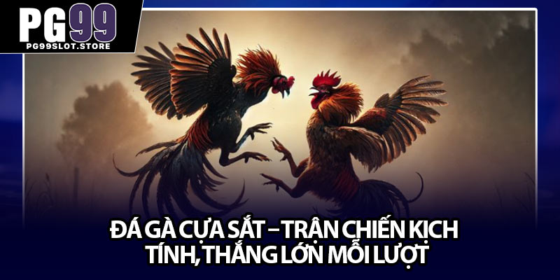 Đá Gà Cựa Sắt – Trận Chiến Kịch Tính, Thắng Lớn Mỗi Lượt
